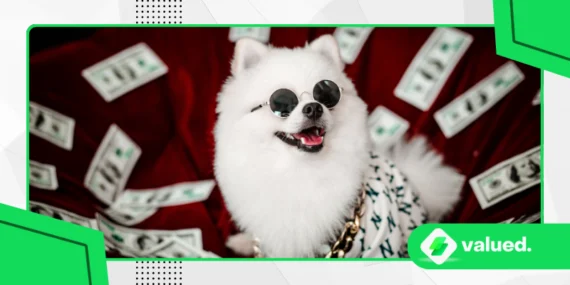 Pet Loans Are a Thing Now — Are They Worth It?